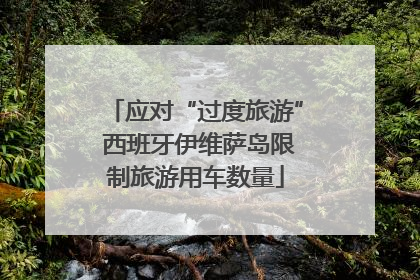 应对“过度旅游” 西班牙伊维萨岛限制旅游用车数量