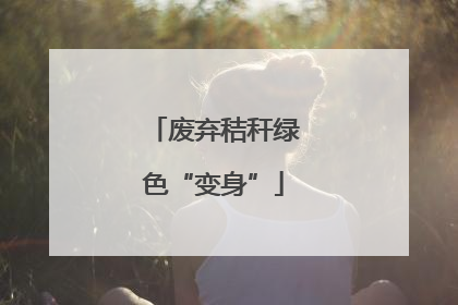 废弃秸秆绿色“变身”
