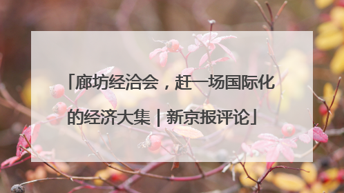 廊坊经洽会，赶一场国际化的经济大集｜新京报评论