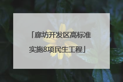 廊坊开发区高标准实施8项民生工程