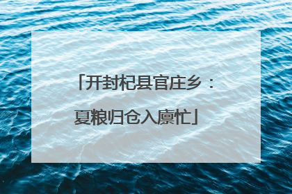 开封杞县官庄乡：夏粮归仓入廪忙