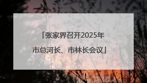 张家界召开2025年市总河长、市林长会议