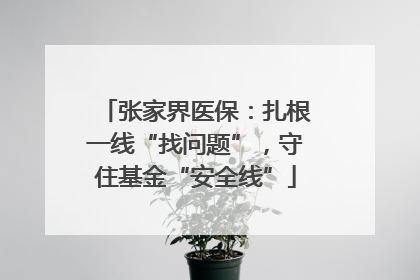 张家界医保：扎根一线“找问题”，守住基金“安全线”