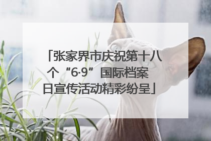张家界市庆祝第十八个“6·9”国际档案日宣传活动精彩纷呈