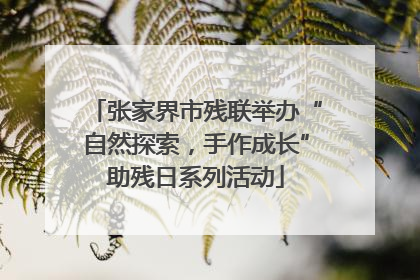 张家界市残联举办“自然探索，手作成长”助残日系列活动