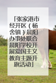 张家港市经开区（杨舍镇）晨阳办事处联合晨阳学校开展爱国主义教育主题升旗活动