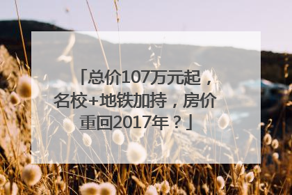 总价107万元起，名校+地铁加持，房价重回2017年？