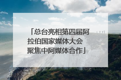 总台亮相第四届阿拉伯国家媒体大会 聚焦中阿媒体合作