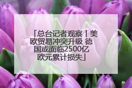 总台记者观察丨美欧贸易冲突升级 德国或面临2500亿欧元累计损失