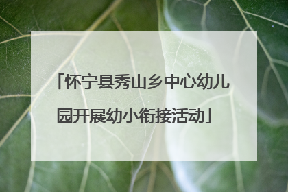 怀宁县秀山乡中心幼儿园开展幼小衔接活动