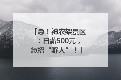 急！神农架景区：日薪500元，急招“野人”！