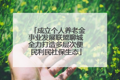 成立个人养老金事业发展联盟聊城全力打造多层次便民利民社保生态