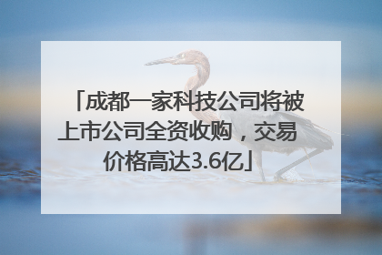 成都一家科技公司将被上市公司全资收购，交易价格高达3.6亿