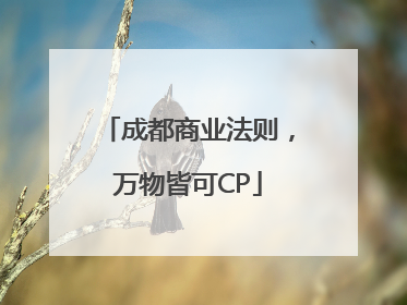 成都商业法则，万物皆可CP