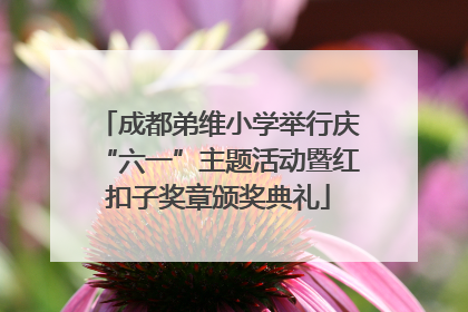 成都弟维小学举行庆“六一”主题活动暨红扣子奖章颁奖典礼