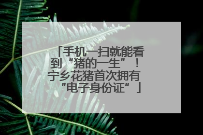 手机一扫就能看到“猪的一生”！宁乡花猪首次拥有“电子身份证”