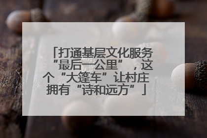 打通基层文化服务“最后一公里”，这个“大篷车”让村庄拥有“诗和远方”