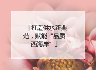 打造供水新典范，赋能“品质西海岸”