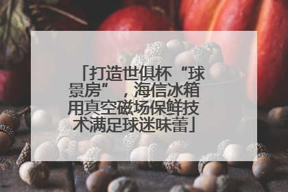 打造世俱杯“球景房”，海信冰箱用真空磁场保鲜技术满足球迷味蕾