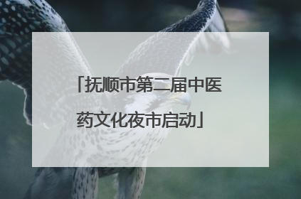 抚顺市第二届中医药文化夜市启动
