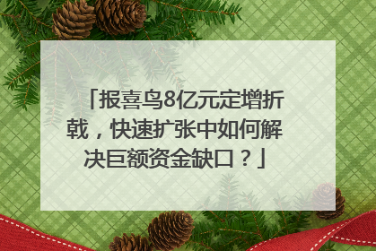 报喜鸟8亿元定增折戟，快速扩张中如何解决巨额资金缺口？