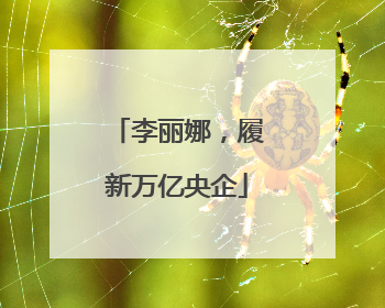 李丽娜，履新万亿央企