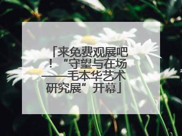来免费观展吧！“守望与在场——毛本华艺术研究展”开幕