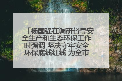 杨国强在调研督导安全生产和生态环保工作时强调 坚决守牢安全环保底线红线 为全市经济社会高质量发展提供坚强保障