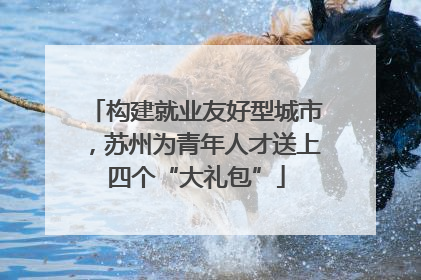 构建就业友好型城市，苏州为青年人才送上四个“大礼包”