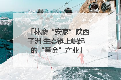 林麝“安家”陕西子洲 生态链上崛起的“黄金”产业