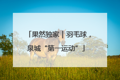 果然独家｜羽毛球，泉城“第一运动”