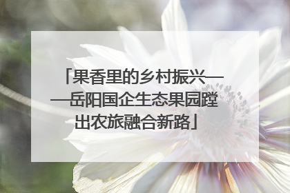 果香里的乡村振兴——岳阳国企生态果园蹚出农旅融合新路