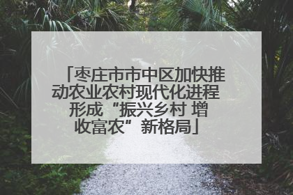 枣庄市市中区加快推动农业农村现代化进程 形成“振兴乡村 增收富农”新格局
