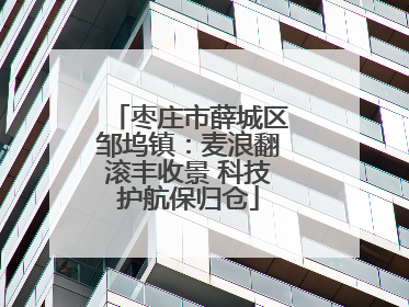 枣庄市薛城区邹坞镇：麦浪翻滚丰收景 科技护航保归仓