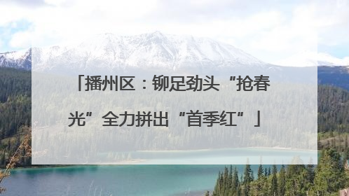 播州区：铆足劲头“抢春光”全力拼出“首季红”