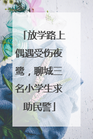 放学路上偶遇受伤夜鹭，聊城三名小学生求助民警