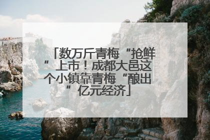 数万斤青梅“抢鲜”上市！成都大邑这个小镇靠青梅“酿出”亿元经济