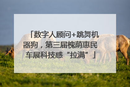数字人顾问+跳舞机器狗，第三届槐荫惠民车展科技感“拉满”