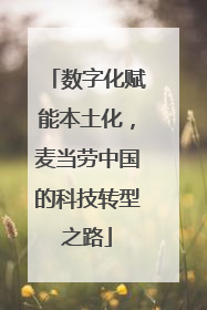 数字化赋能本土化，麦当劳中国的科技转型之路