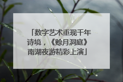 数字艺术重现千年诗境，《赊月洞庭》南湖夜游精彩上演