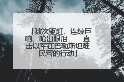 数次驱赶、连续巨响、呛出眼泪——直击以军在巴勒斯坦难民营的行动