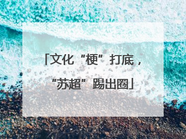 文化“梗”打底，“苏超”踢出圈