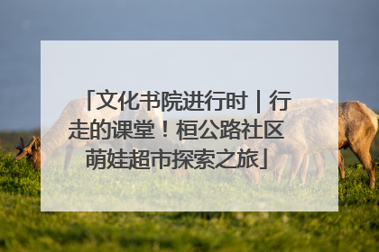 文化书院进行时｜行走的课堂！桓公路社区萌娃超市探索之旅