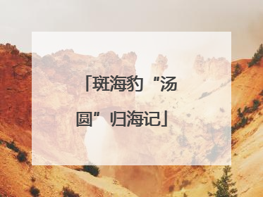 斑海豹“汤圆”归海记