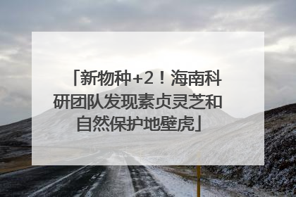 新物种+2！海南科研团队发现素贞灵芝和自然保护地壁虎