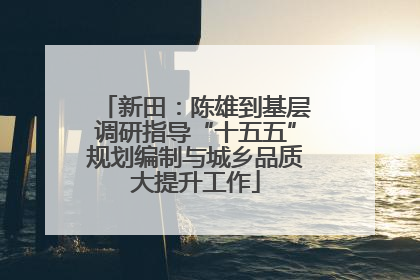 新田：陈雄到基层调研指导“十五五”规划编制与城乡品质大提升工作