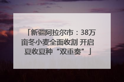 新疆阿拉尔市：38万亩冬小麦全面收割 开启夏收夏种“双重奏”