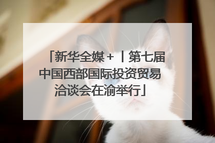 新华全媒＋丨第七届中国西部国际投资贸易洽谈会在渝举行
