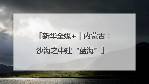 新华全媒+｜内蒙古：沙海之中建“蓝海”