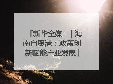 新华全媒+｜海南自贸港：政策创新赋能产业发展